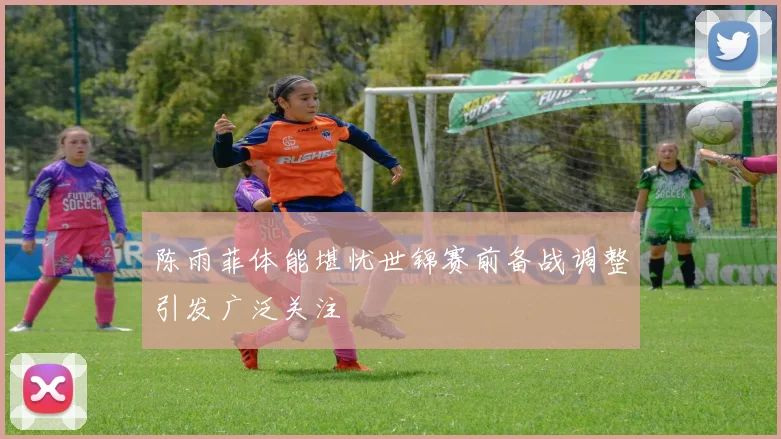 陈雨菲体能堪忧世锦赛前备战调整引发广泛关注
